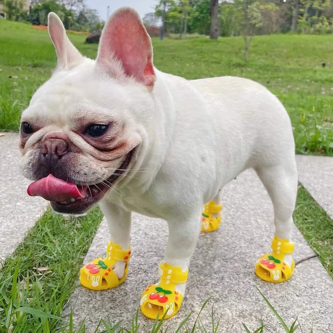 Frenchie Paws Protection Sandals